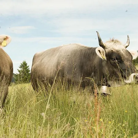 Penzion Daniel Lech am Arlberg