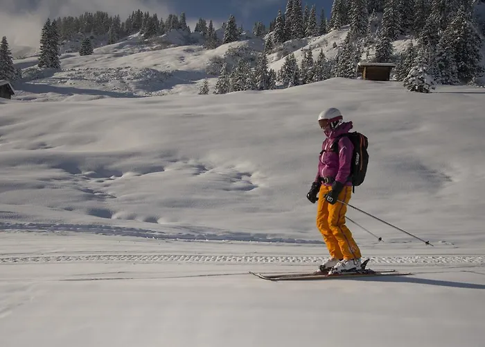 Πανσιόν Daniel 3*