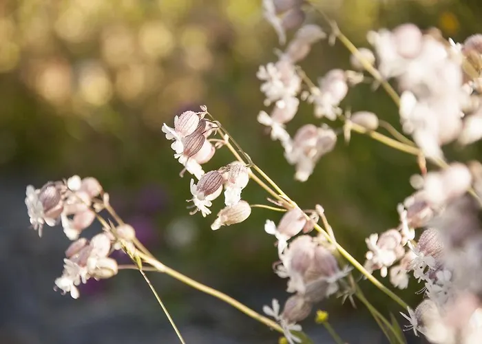 Daniel Lech am Arlberg