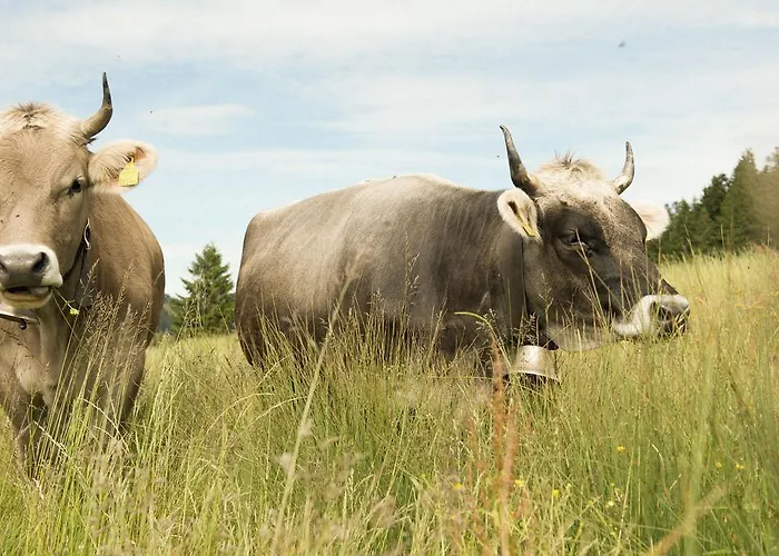 Penzion Daniel Lech am Arlberg